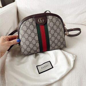 Gucci Brown and Green Women's Bag